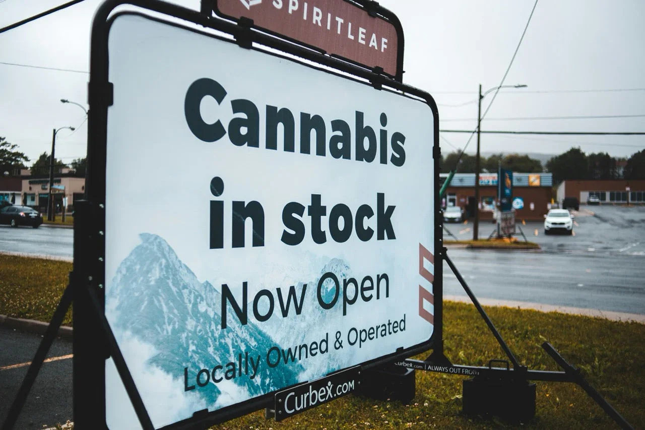 Cannabis-Legalisierung 2025 in Deutschland – Infos zu Regeln, Mengen, Cannabis-Clubs und Online-Shops
