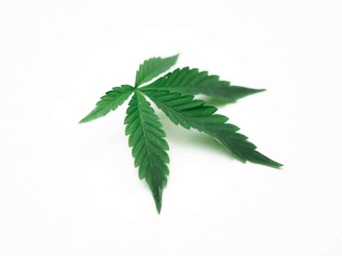 HHC als medizinisches Cannabinoid: Potenzial, Risiken & Alternativen 2025 - Happy Flower