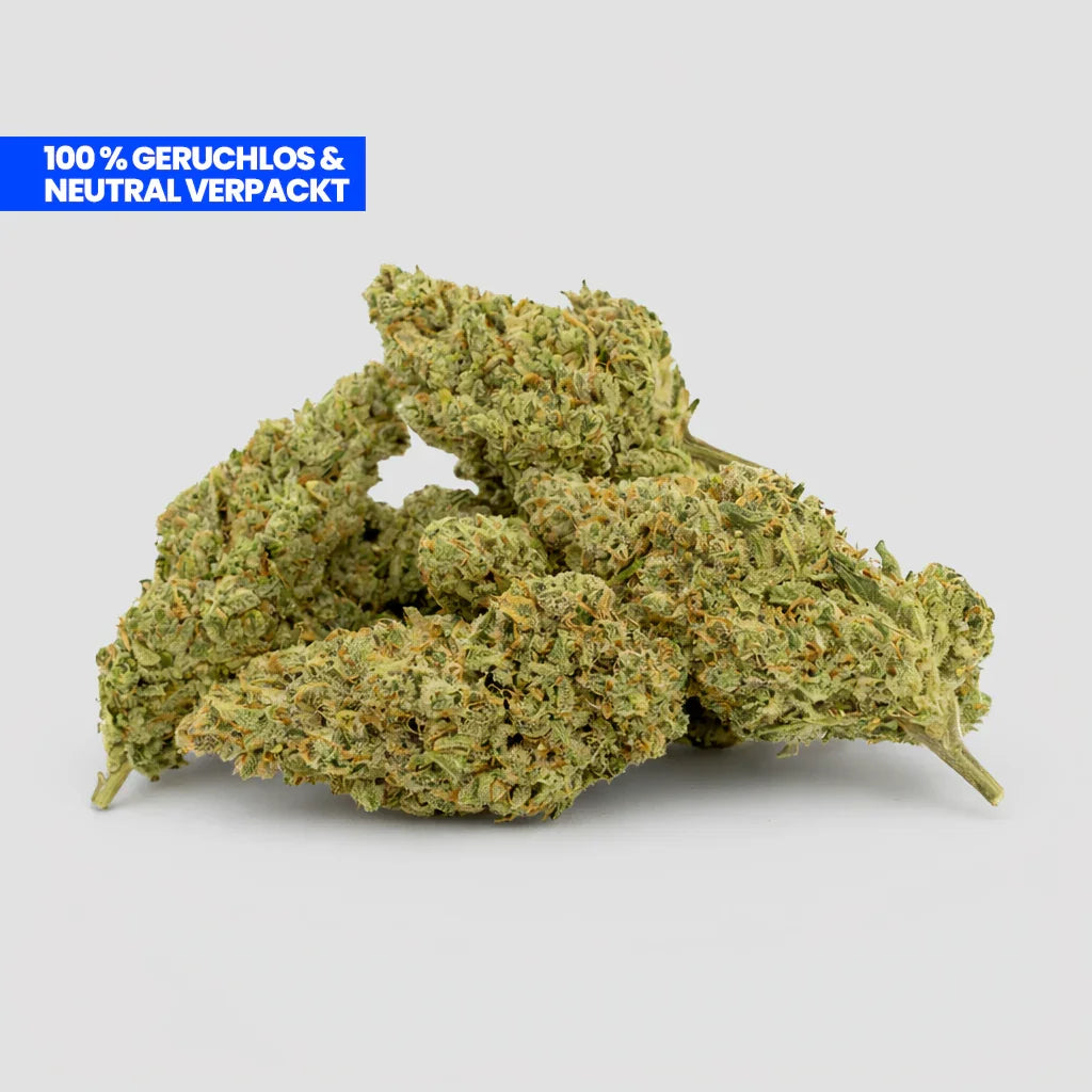 Amnesia Storm 9H-THC Blüten