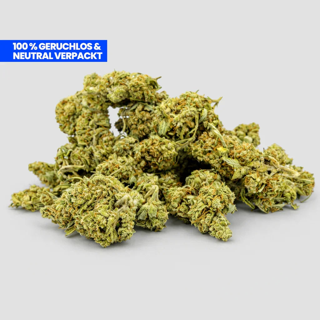 Cheese Skunk CBD 25 % Blüten