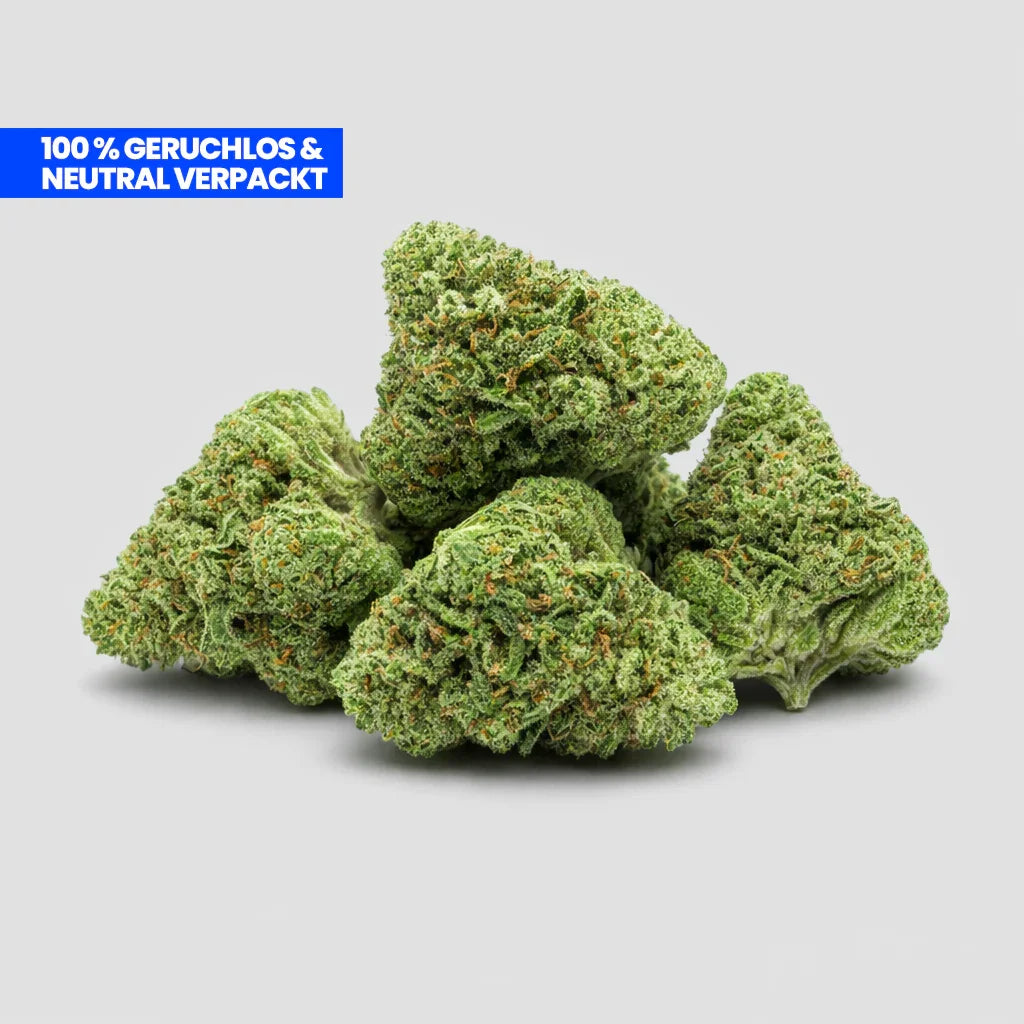 Runtz CBD 25 % Blüten