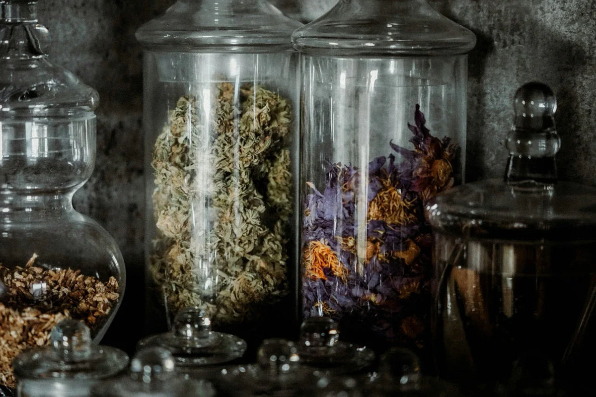 Cannabis richtig lagern – Tipps 2025 für Aroma, Potenz, Haltbarkeit und optimale Aufbewahrung