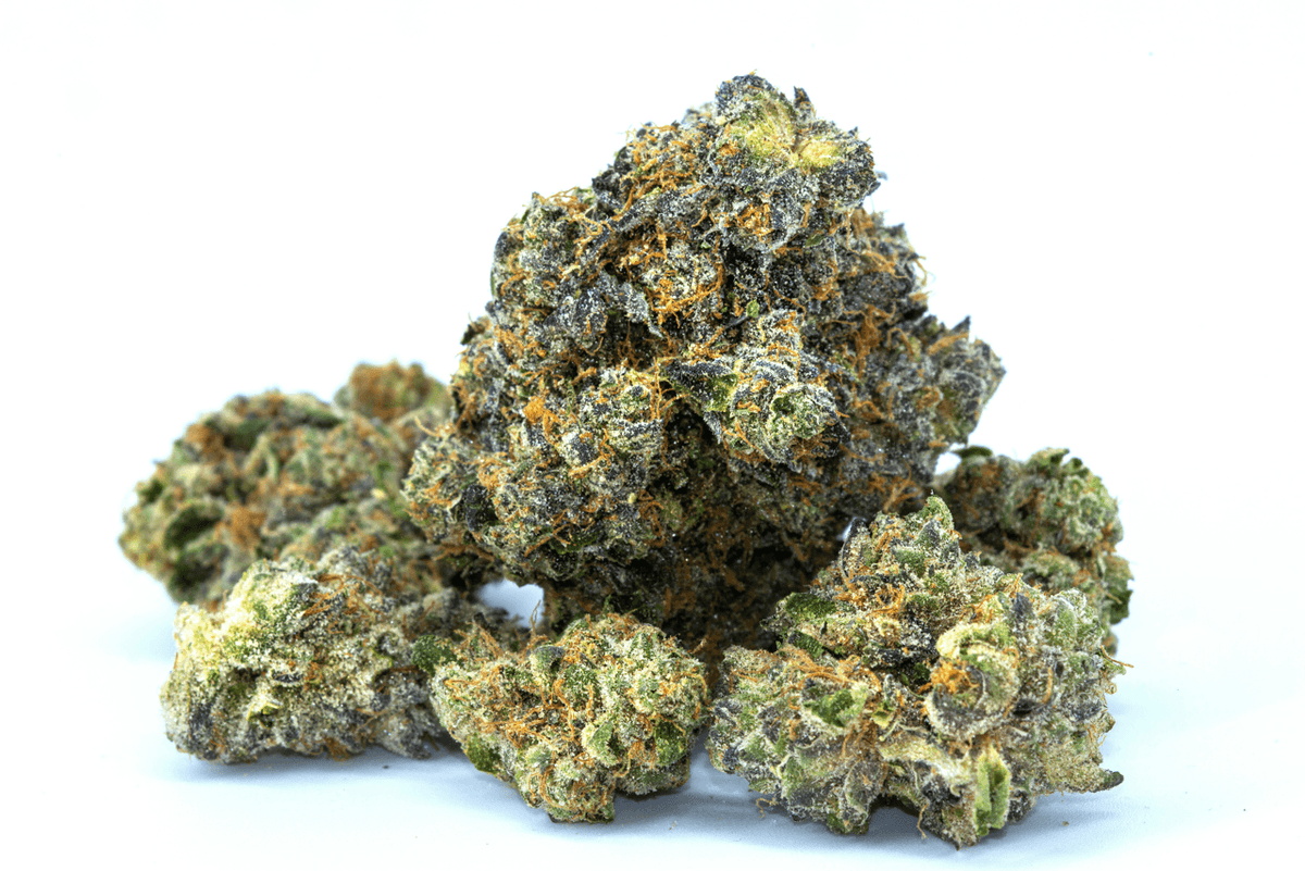 Cannabis Blüten in hellem Licht