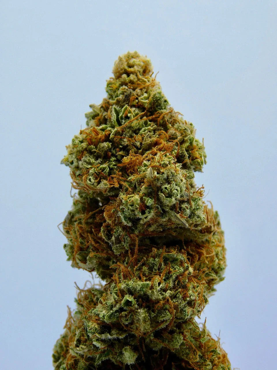 HHC, PHC & Co. – Der ultimative Guide zu neuen Cannabinoiden 2025 mit Infos zu Wirkung, Legalität, Risiken und Markttrends