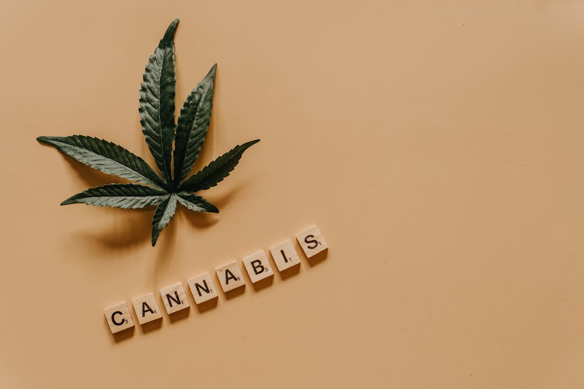Cannabisblatt mit Schriftzug Cannabis, Symbolbild zur Rechtslage von Cannabinoiden