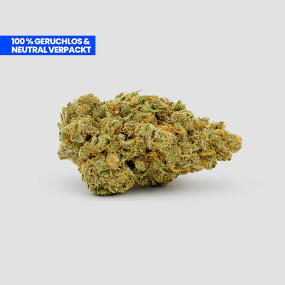 Amnesia Storm 9H-THC Blüte