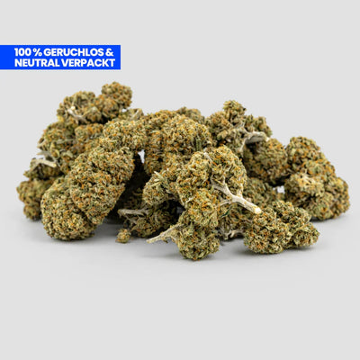 Cherry CBD 25 % Blüten