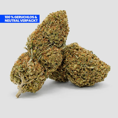 Fruit Cake CBD 25 % Blüten