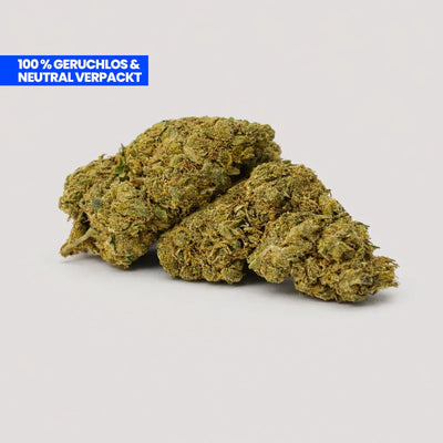 Lemon CBD 25 % Blüten