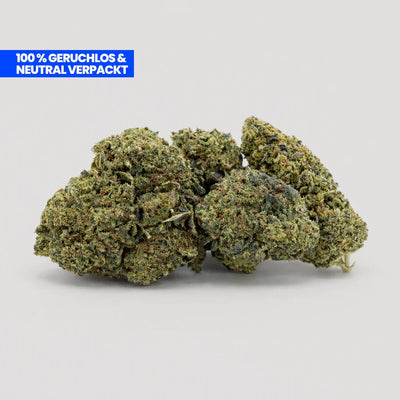 Lemon Cherry Gelato 9H-THC Blüten kaufen – Premium Indoor Cannabis bei Happy Flower