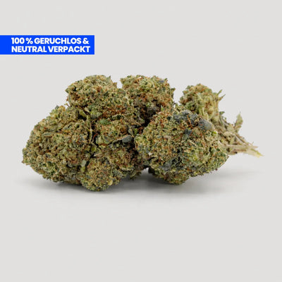 Lemon Cherry Gelato 9H-THC Blüte – Zitrus, Kirsche, cremiges Gelato-Aroma