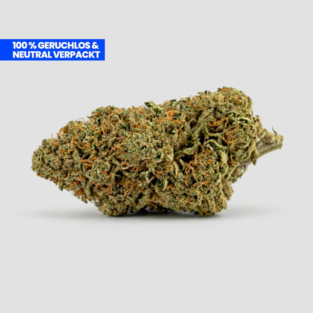OG Kush Blüte