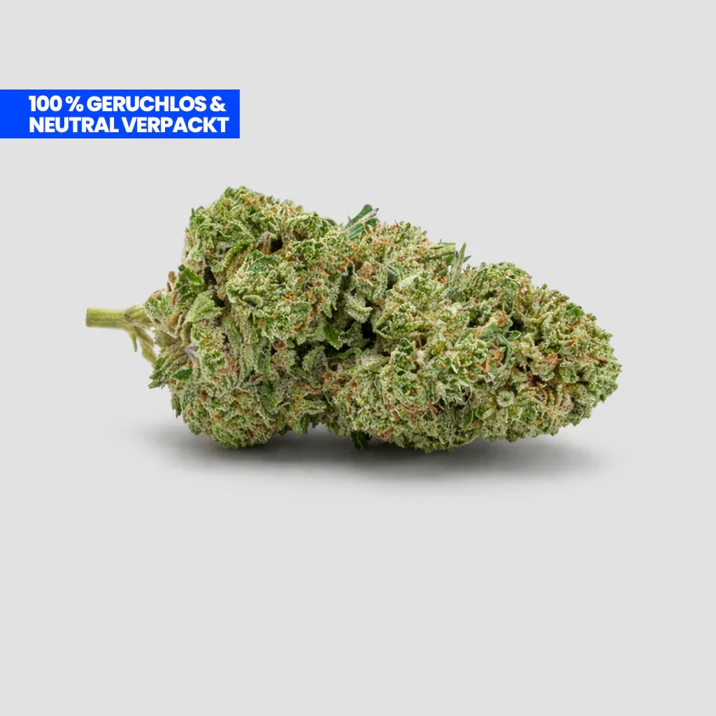 Runtz CBD 25 % Blüte