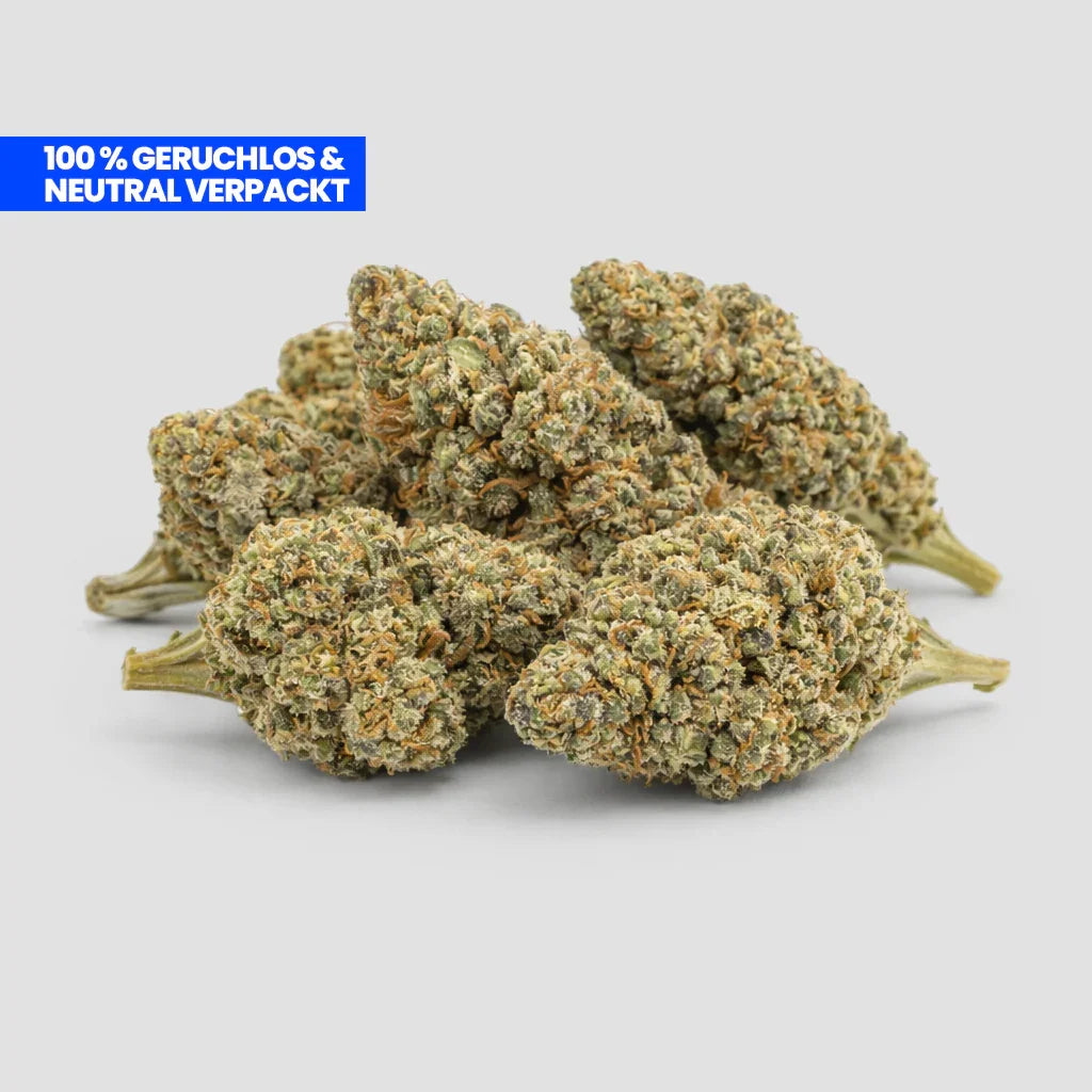 White Widow PHC Blüten