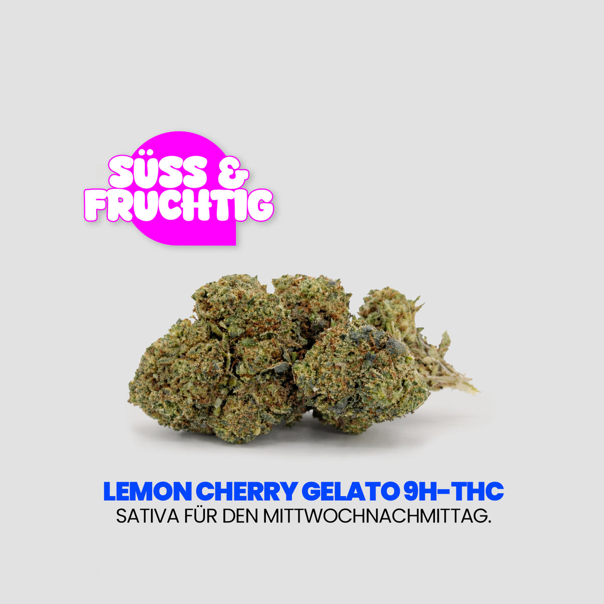 Werbegrafik für „CHERRY GELATO 9H-THC“. Auf hellem Hintergrund liegt ein Haufen Cannabisblüten, darüber steht in einer pinken Sprechblase „Süss & fruchtig. Darunter der Claim: „Sativa für den Mittwochnachmittag.“