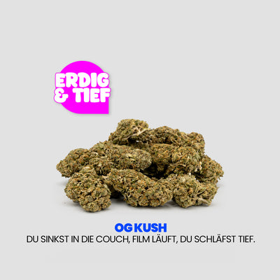 Werbegrafik für „OG KUSH“. Auf hellem Hintergrund liegt ein Haufen Cannabisblüten, darüber steht in einer pinken Sprechblase „Erdig & Tief“. Darunter der Claim: „Du sinkst in die couch, film läuft, du schläfst tief.“