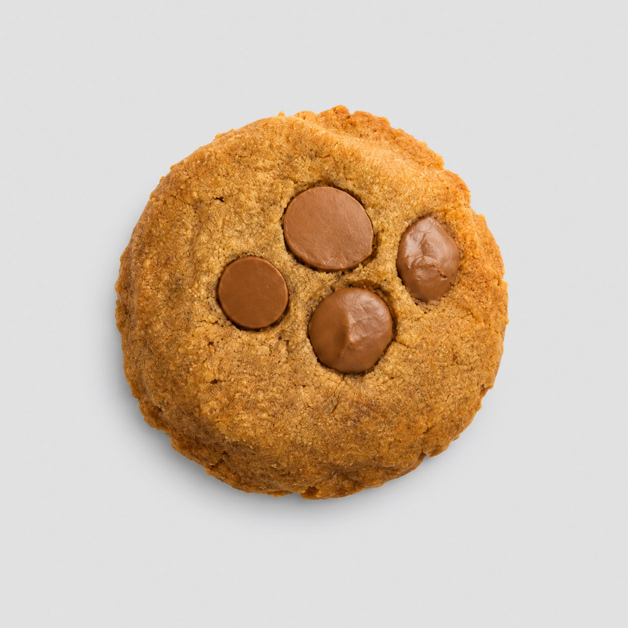 THC Cookie mit Schokoladengeschmack und 50mg auf neutralem Hintergrund