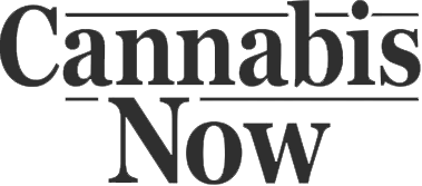 Cannabis Now Logo